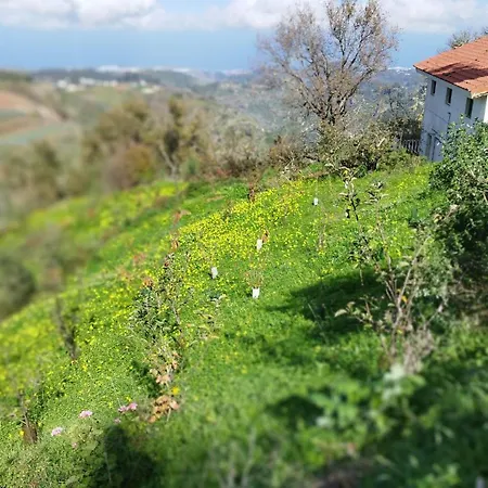אכסניה Finca Pajaritos